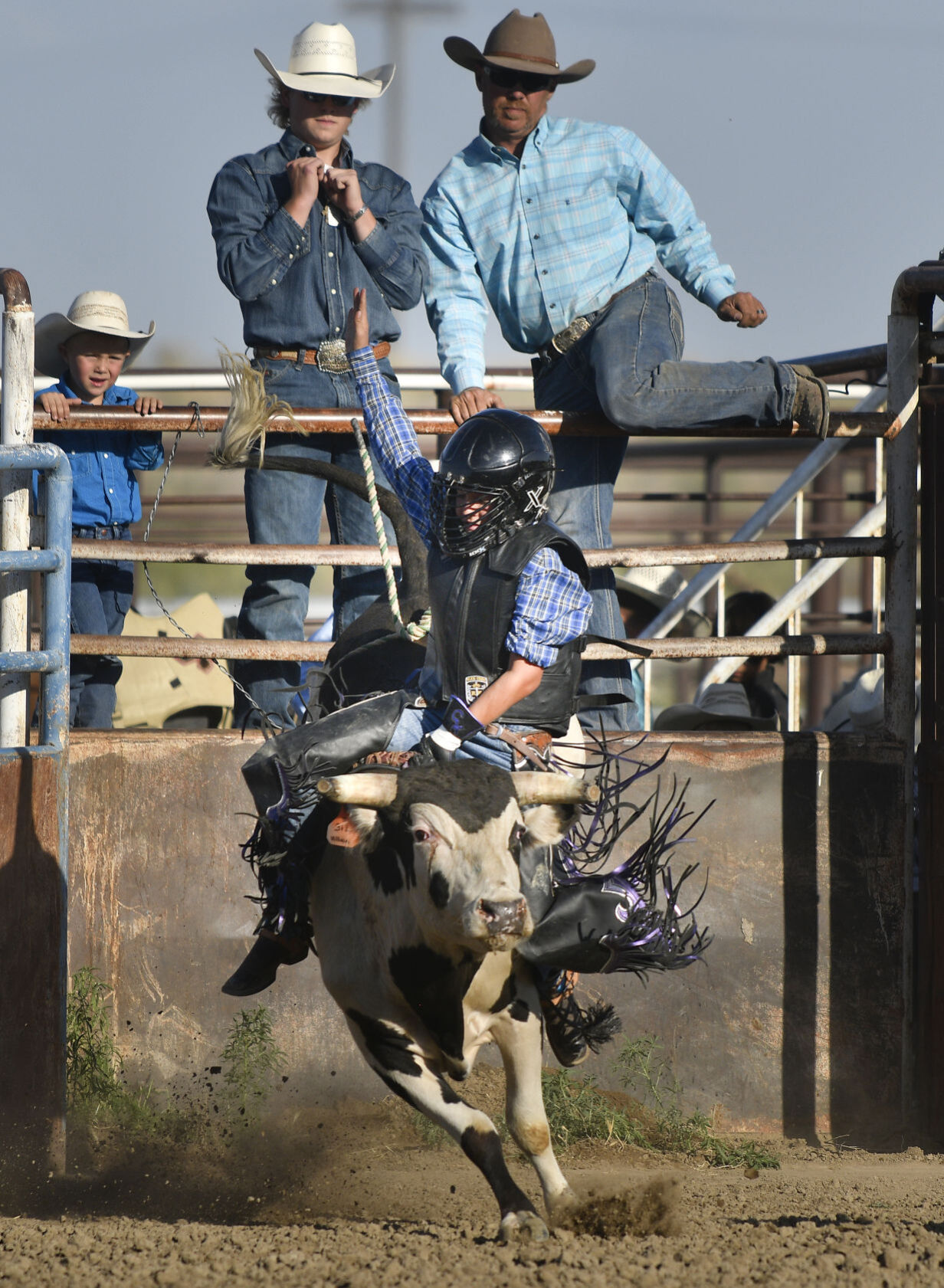 Lincoln County Mini Bull Riding